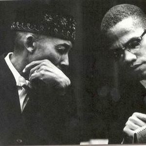 Meet your Posher, Demetrius